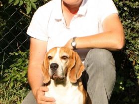 Christianes Hundeschule