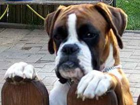 von der Boxerschlucht