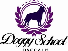 Hundeschule Doggyschool Passau