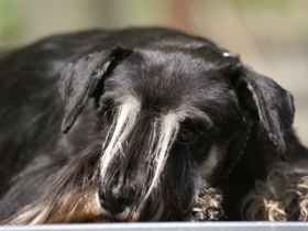 vom Römersberger Hof