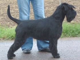 von der Thelersäule