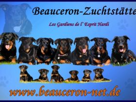 Les Gardiens de l’Esprit Hardi