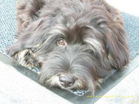 Forsthaus Donnersberg