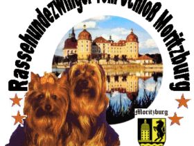 vom Schloß Moritzburg