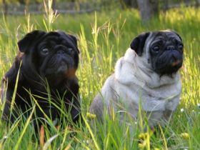 zum Schloß Reinhardsbrunn