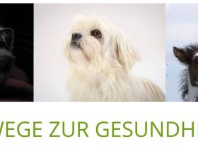 Tiernaturheilpraxis Allgäu