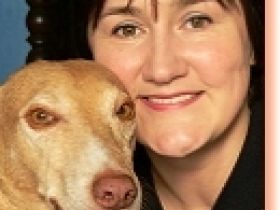 Touchwell - Physiotherapie und Osteopathie für Hunde