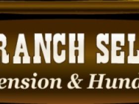 Pfotenranch Sellmecke