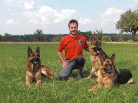 vom leuchtertannenweg