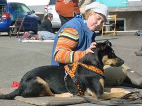 Sanny's Hundeservice - Hundeschule in Nürnberg