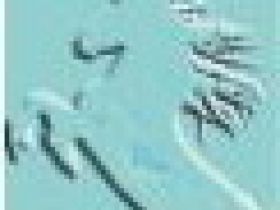 Naturheilkundliche Pferdepraxis Diana Holderegger