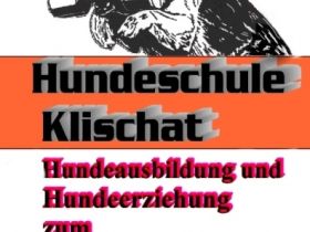 hundeschule klischat