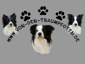 von den Traumpfoten