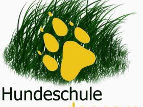 Hundeschule dogcom