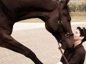 Tierphysiotherapie Soest