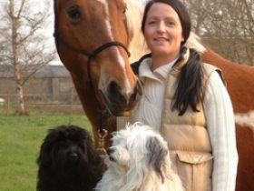 Birgit Danitz - Physio4pets - Physiotherapie für Kleintiere & Pferde