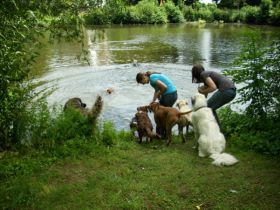 Pfötchen - Residenz