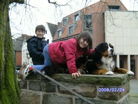 FAIRständnis...Hundeschule in Coesfeld/Rosendahl