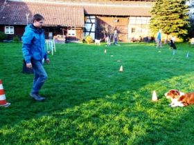 Hundeschule TeamWork