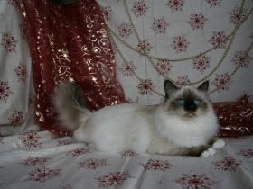 von der Rosenterrasse