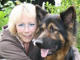 Mobile Hundeschule Best Friends