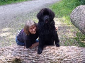 Hundschule DOGS COLLEGE Renate Geduhn