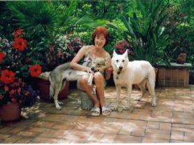 Private Hundebetreuung Wellritztal