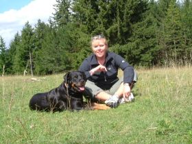 Hundeschule-Artgerecht