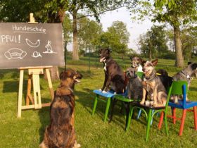 Hundeschule Heck