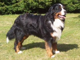 vom Sandmännchenhof