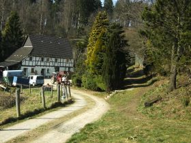 Hundepension Hof Groß-Langenbach