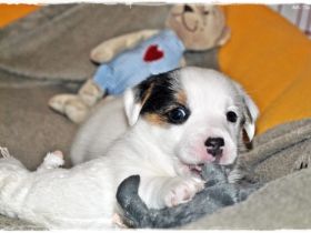 aus der Grindauer Marsch