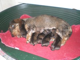 vom Schwindauer-Land