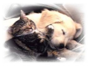 Zeit für uns! Tierheilpraxis Ursula Kranz