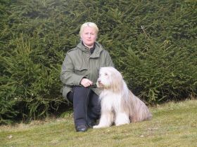 Hundeschule Dogs Coaching