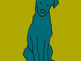 Hundeversität - Individuelles Hundetraining