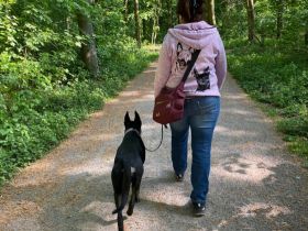 Hundeschule Duisburg