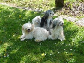 of the thousand Mountains