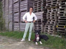 Gittes Hundetraining Bergstraße