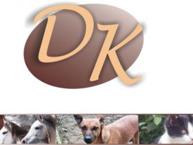 Tierpsychologie u. Tierhomöopathie Künnemann