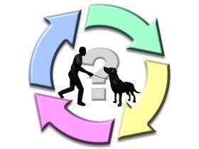 Hundeschule-Ich-Du-Wir