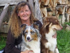 Hundetraining Goetze