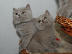 aus der Klosterstadt & vom Rossenrayer See