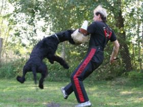 Sporthundeverein Lübben