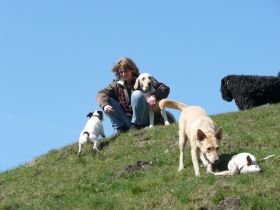 canisma - hundetraining & verhaltensberatung