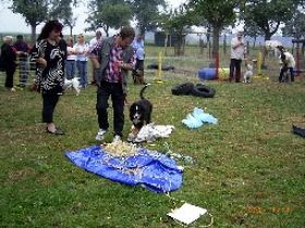 Hundeschule Leutermann