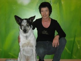 Verhaltenstherapie für Hunde, Problemhundetherapie