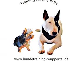 Hundetraining Wuppertal - Training für alle Felle