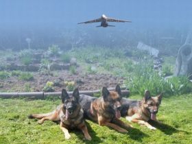 von der Einflugschneise