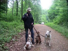 Cor Caroli`s Hundeverhaltenstherapie